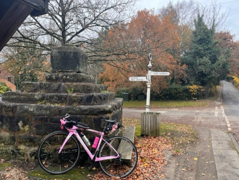 The village cross at Nether Alderley.